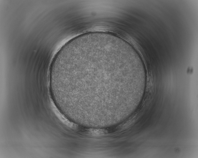 X0000110760795200907061053