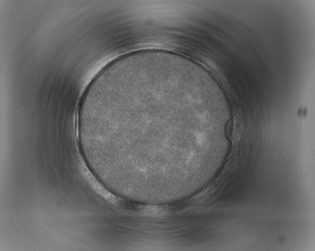 X0000110760796200907061053