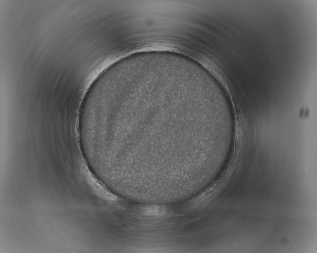X0000110760797200907061053