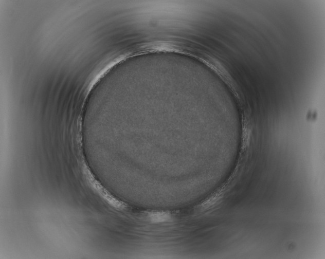 X0000110760798200907061053