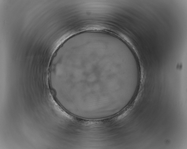 X0000110760802200907061053