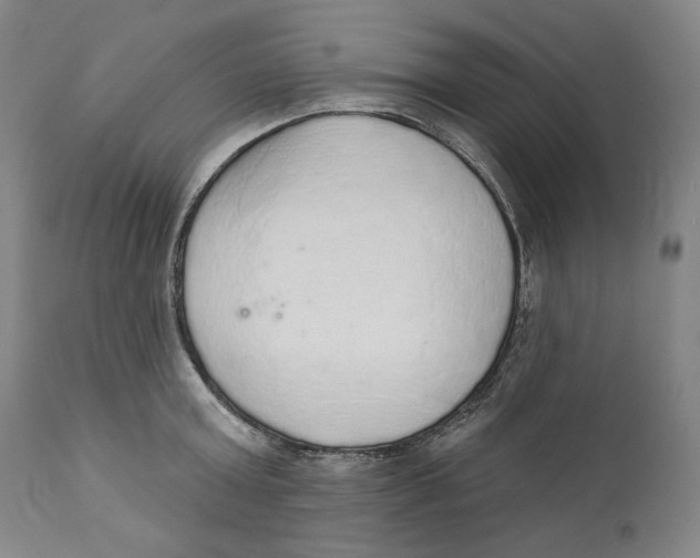 X0000110760803200907061053