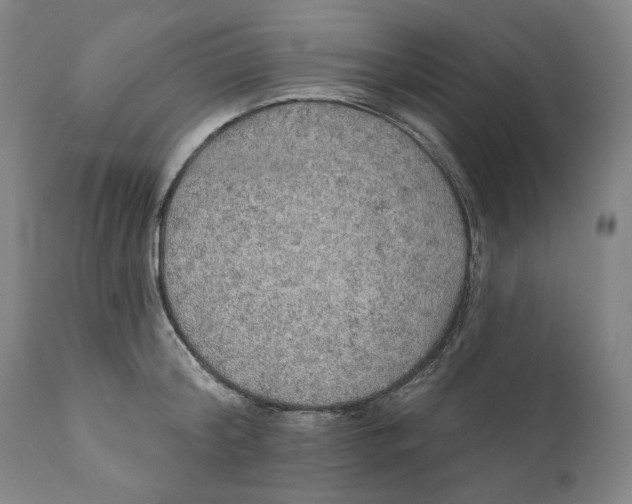 X0000110760804200907061053