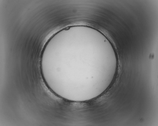 X0000110760805200907061053