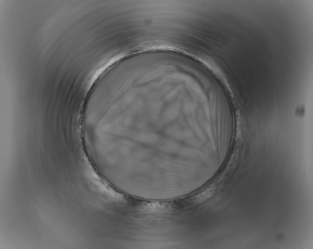 X0000110760806200907061053