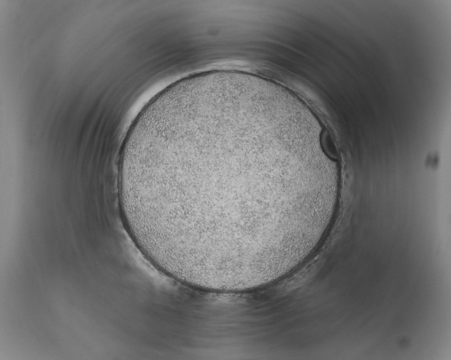 X0000110760808200907061053