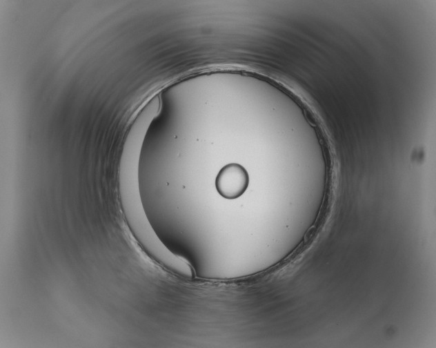 X0000110760809200907061053
