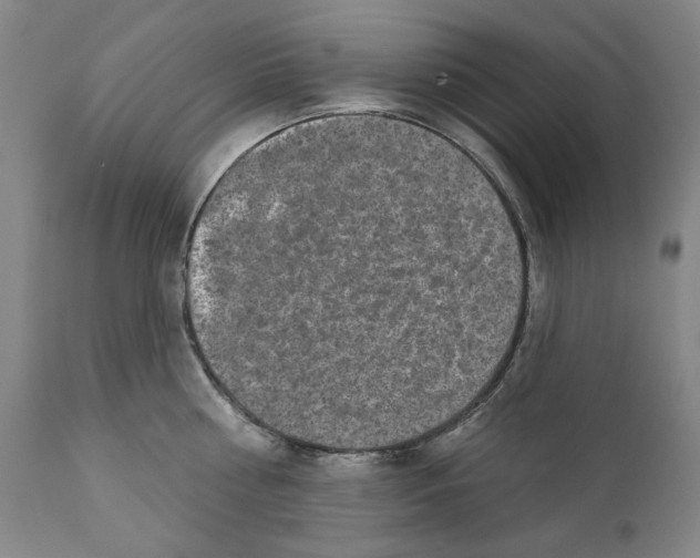 X0000110760810200907061053