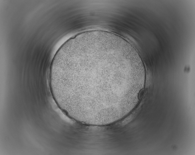 X0000110760812200907061053
