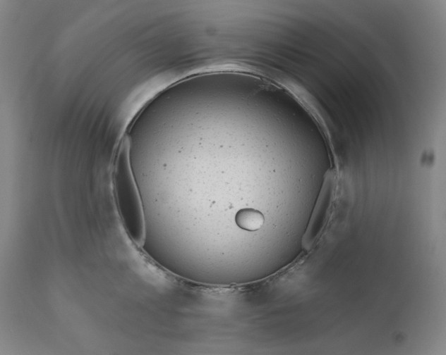 X0000110760813200907061053