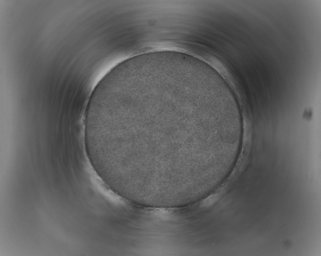 X0000110760814200907061053