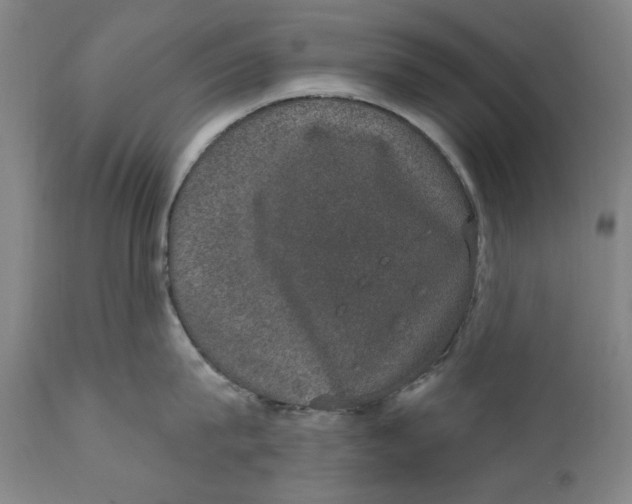 X0000110760815200907061053
