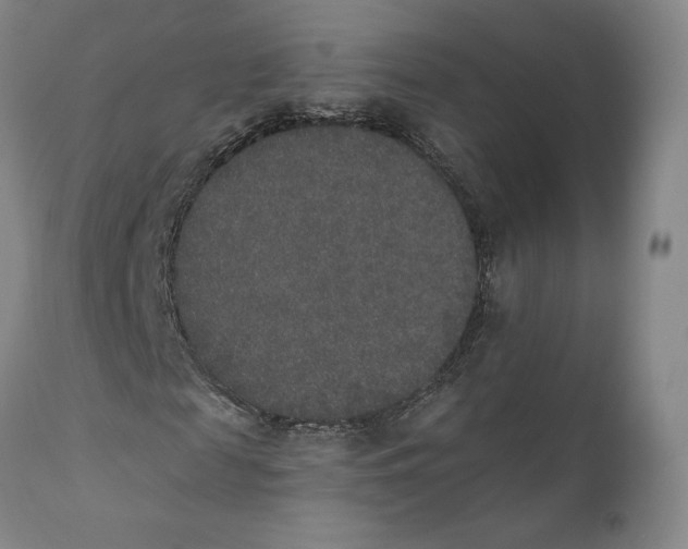 X0000110760817200907061053