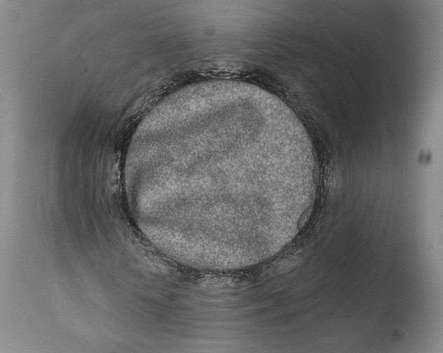 X0000110760818200907061053