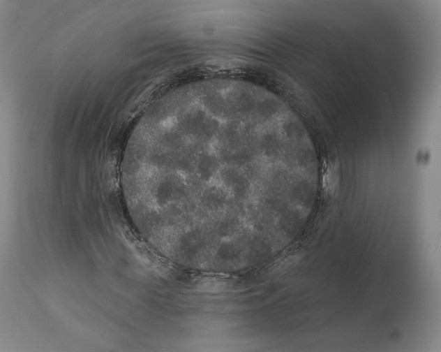X0000110760819200907061053