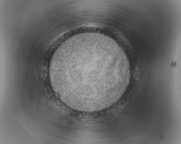X0000110760821200907061053