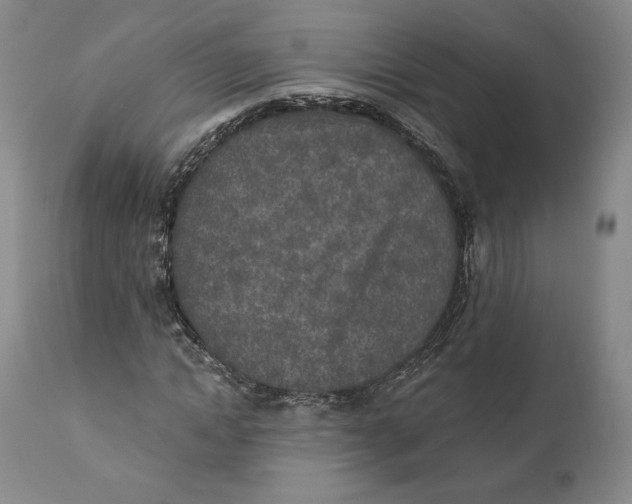 X0000110760822200907061053