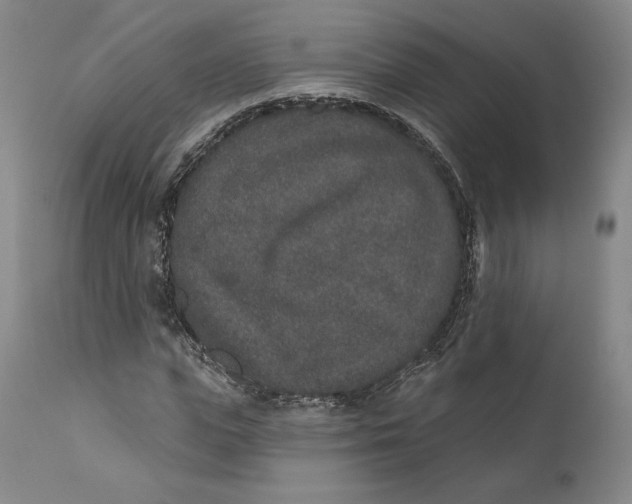 X0000110760823200907061053