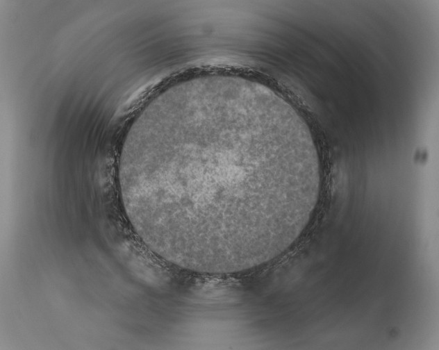 X0000110760824200907061053