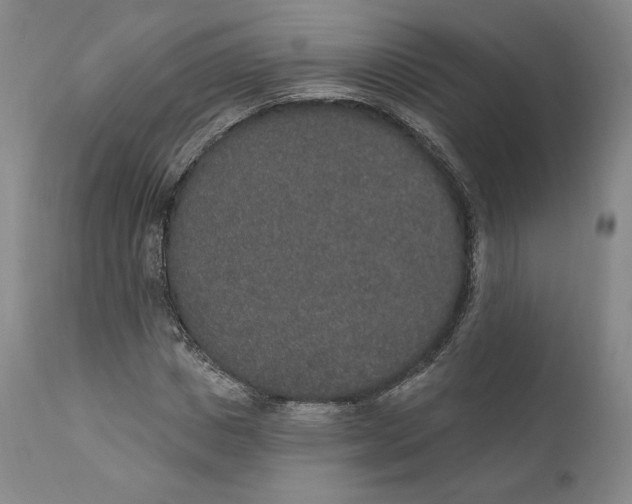 X0000110760825200907061053