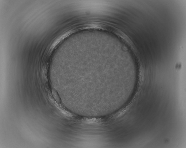 X0000110760826200907061053
