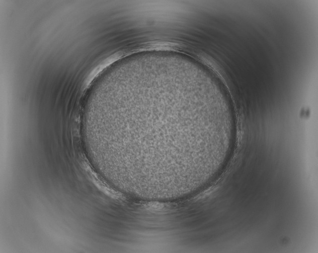 X0000110760827200907061053
