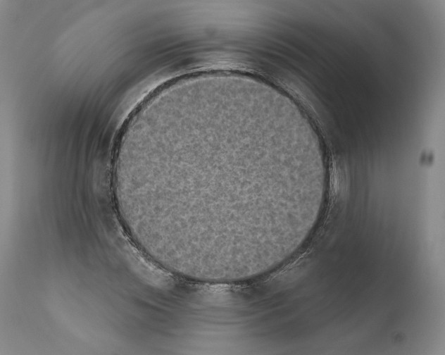 X0000110760828200907061053
