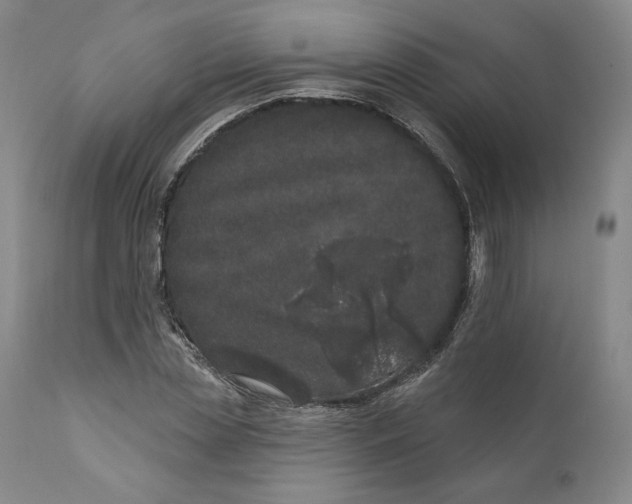 X0000110760829200907061053