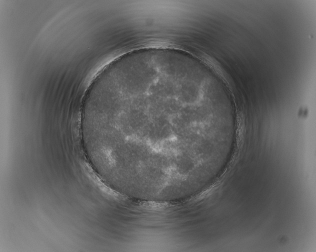 X0000110760831200907061053