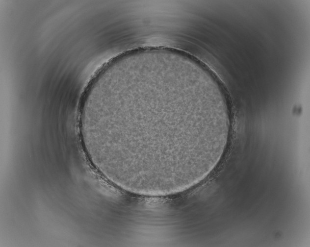 X0000110760832200907061053
