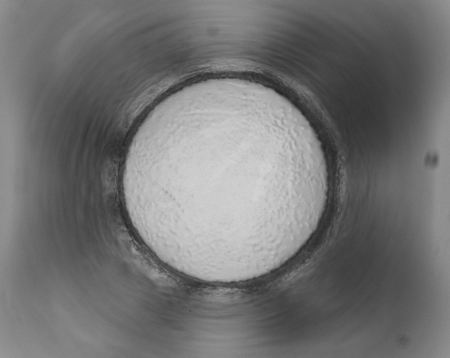X0000110760833200907061053
