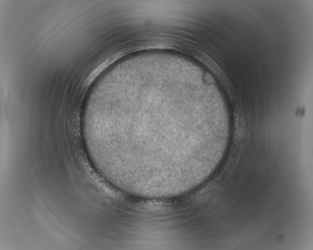 X0000110760834200907061053