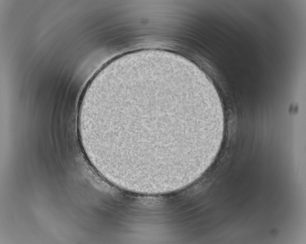X0000110760836200907061053