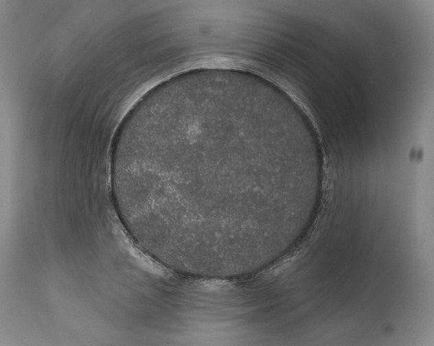 X0000110760837200907061053