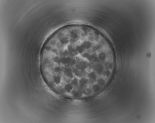 X0000110760839200907061053