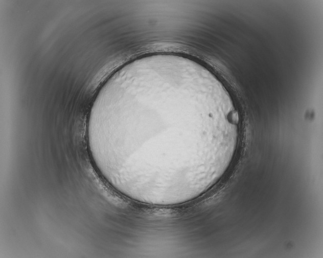 X0000110760841200907061053