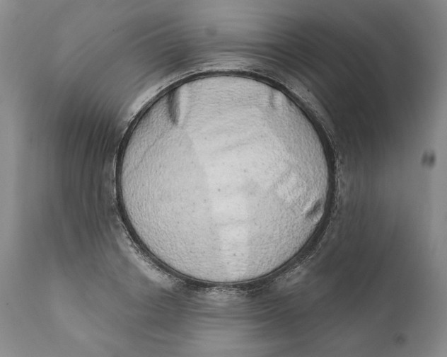 X0000110760842200907061053