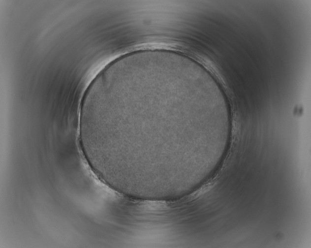 X0000110760844200907061053