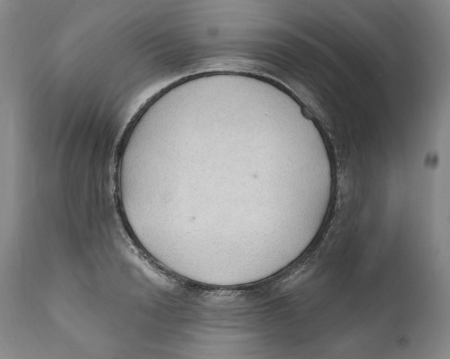 X0000110760846200907061053