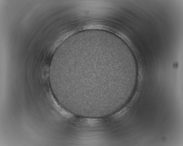 X0000110760849200907061053
