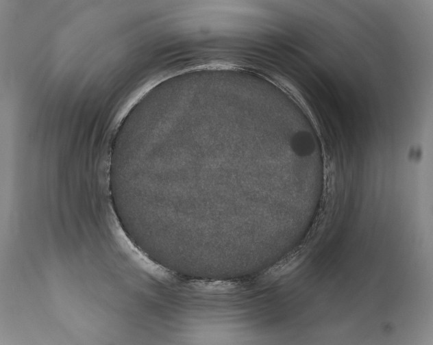 X0000110760851200907061053