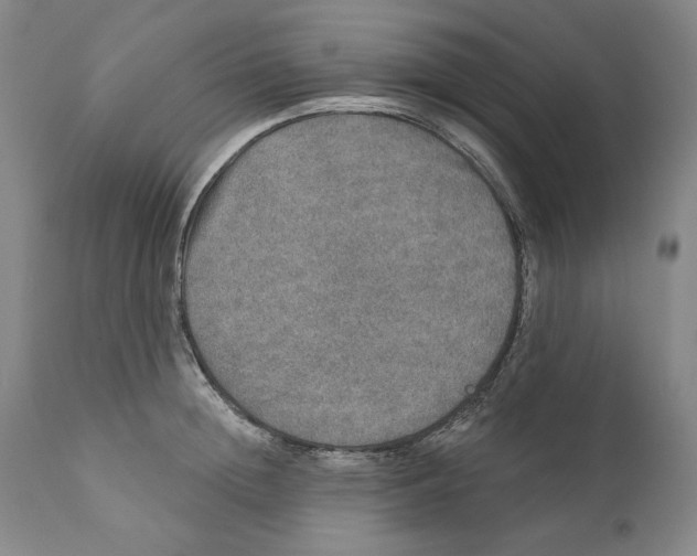 X0000110760852200907061053