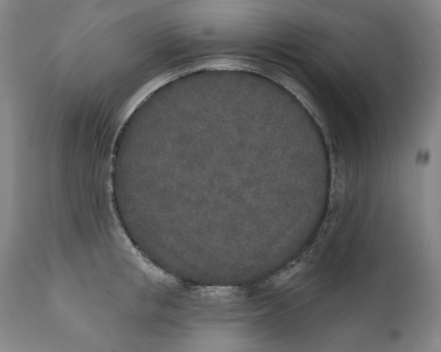 X0000110760853200907061053