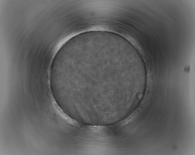 X0000110760854200907061053