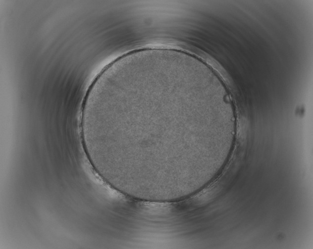 X0000110760856200907061053