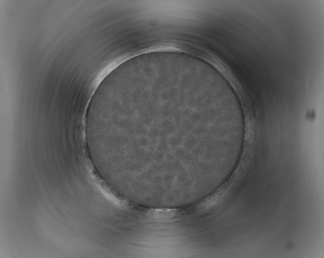 X0000110760858200907061053