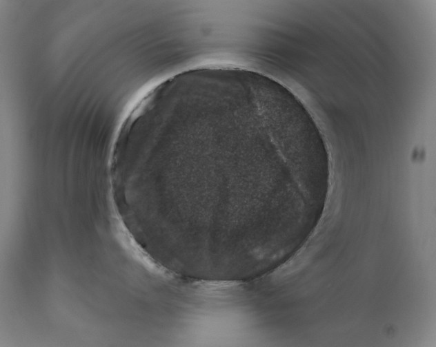 X0000110760864200907061053