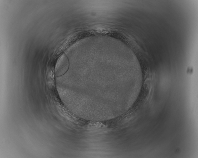 X0000110760866200907061052