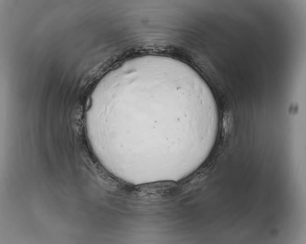 X0000110760867200907061052