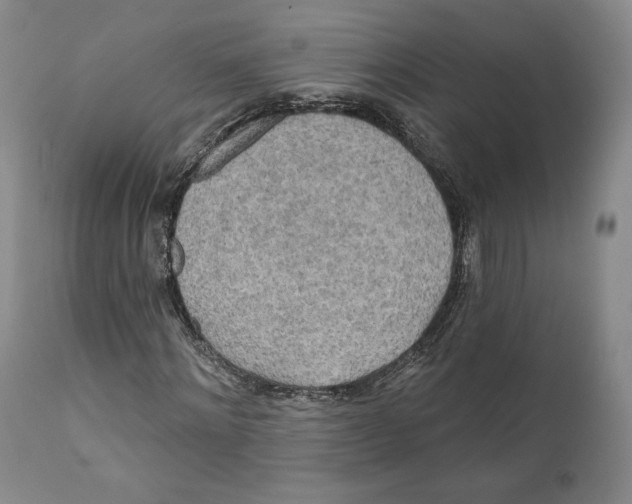 X0000110760868200907061052